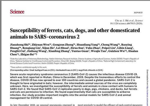 听说猫更容易感染新冠病毒 先别急着下结论