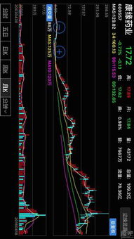 投资公司的股票收益可以作到公司收入里吗？