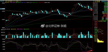 证券公司股票分析师是怎样炼成的