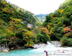 东拉山大峡谷风景区,雅安的大峡谷在什么位置-第4张图片