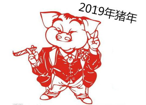 2019年属猪本命年佩戴什么饰物好 