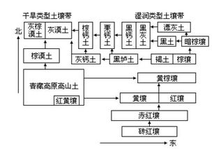 中国土壤的分类和分布 2