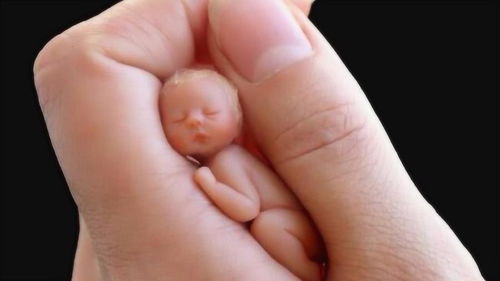 世界上最小的 婴儿 ,仅有拇指一般大,却有很多人都想拥有 