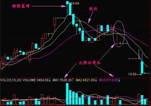 九阴白骨爪是谁创出的？