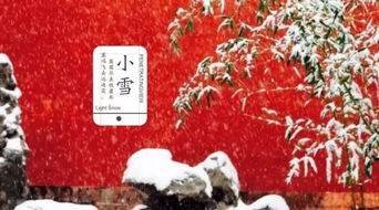 今日小雪 满城楼观玉阑干,小雪晴时不共寒 