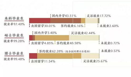 如何提升自己的专业能力