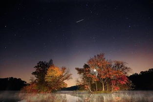 单身狗脱单攻略 多场流星雨将至南昌 单身汪们错过将等到2034年 