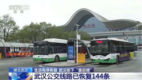 实名登记才能乘车 武汉市恢复的公交线路已达144条