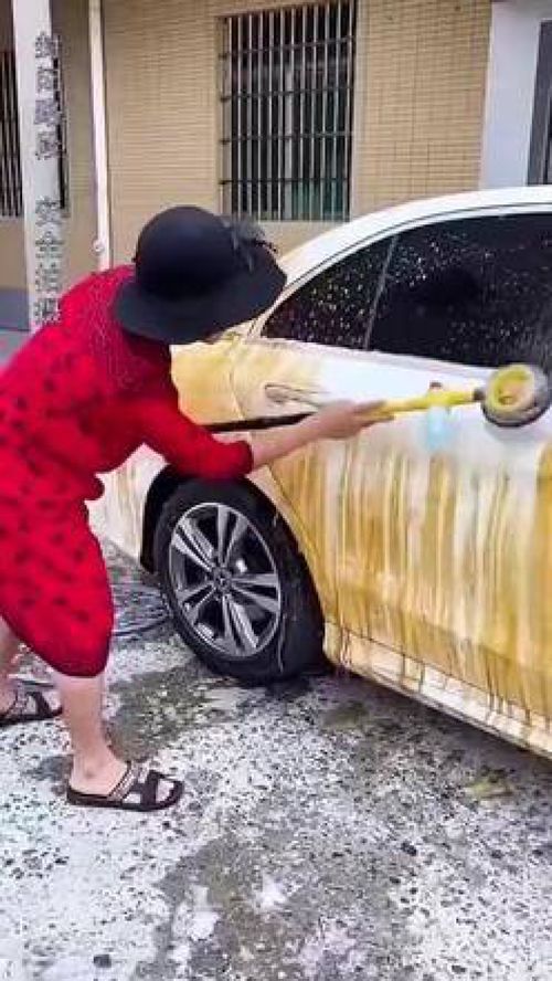 自动旋转洗车毛刷 