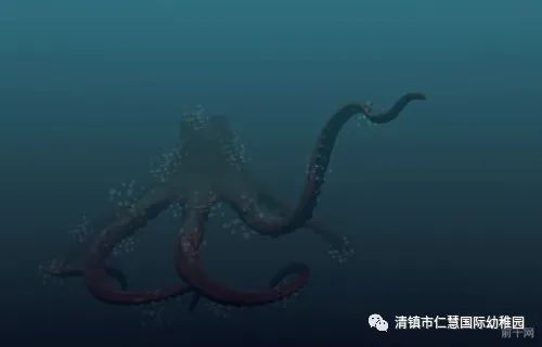 仁慧带你遨游海洋,了解海洋最强的生物 第15天