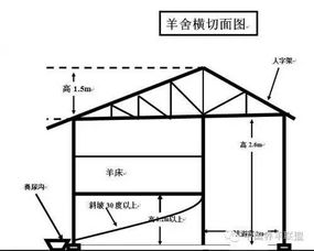 最新标准化羊舍设计图,太全了记得收藏 转发