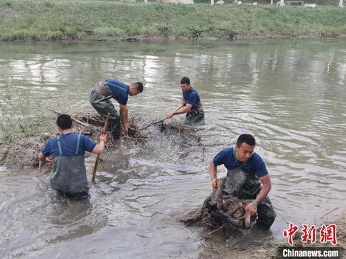 新疆阿克苏消防员清理河道垃圾淤泥改善环境