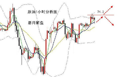 市场信心受到旺季预期表现提振，纸浆主力回升试探前高