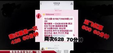 QQ群暗藏玄机 网上招嫖内容露骨 