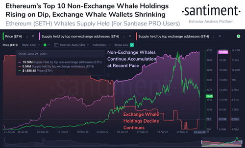  flow币下个牛市的表现是什么 USDT行情