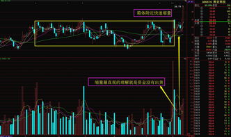 农林牧渔股票龙头股票有哪些