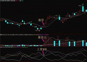 庄家无法破解 无法骗线的技术指标DMI 