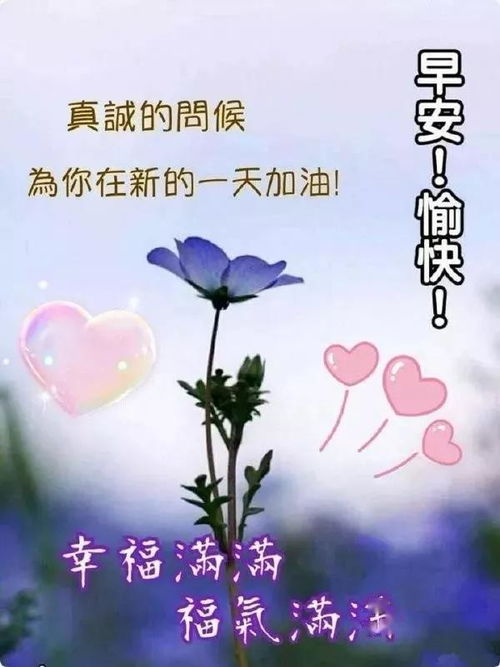 毅力智慧谦虚与平凡是真正勇敢者的尺度,早上好