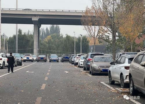 松花江边有免费停车的地方么(松原免费停车场)