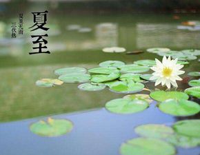 节气与节日 夏至到,你吃面条了吗