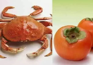 柿子和螃蟹(为什么螃蟹不能和柿子一起吃)