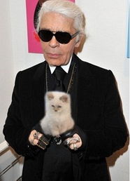 老佛爷Karl Lagerfeld为爱猫出写真 