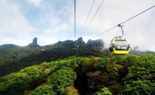 温馨提示 梵净山生态旅游区7月30日门票已预约售罄