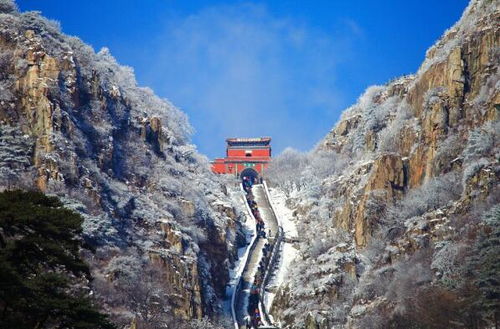 武汉到泰山报团排名靠前 