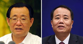 王刚当选中国计划生育协会会长,王培安当选常务副会长 