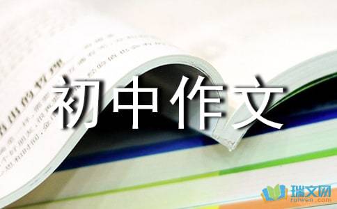 作文 学玩悠悠球