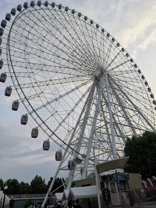 旅游风光分享 潍坊市区一日游推荐 