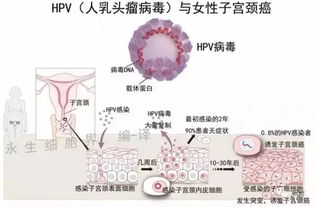 HPV阳性1.85数值：深度解析，让你不再恐慌！