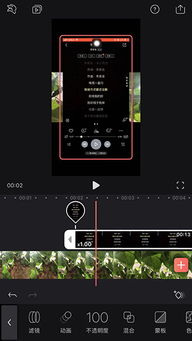 抖音视频滚动歌词是怎么加上去的 抖音视频滚动歌词制作方法 