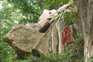 孙悟空在花果山的名字叫什么 