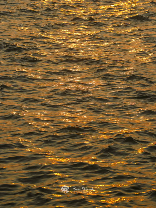 在苏州,我被橘子海的日落治愈了一次次 
