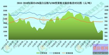  pepe币的起源,pepe是什么意思？ 区块链