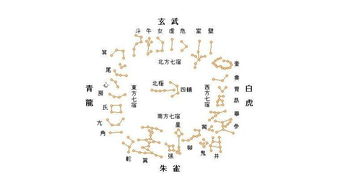 COZYBOK传统文化角丨中国十二生肖