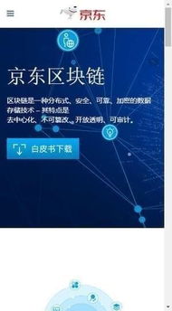 ios区块链钱包开发,钱包开发是什么？