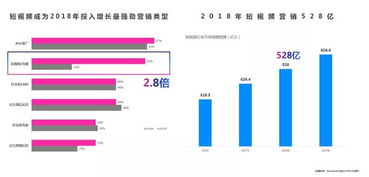 二类电商代运营辉哥 火爆市场的短视频广告如何投放