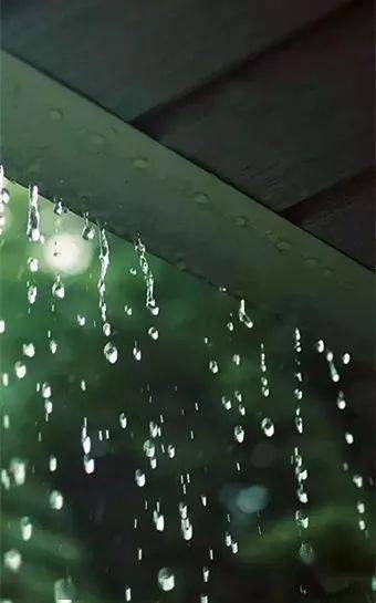 雨水