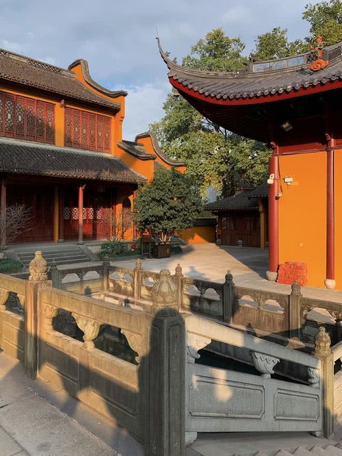 杭州城里最清净的寺庙,中天竺法净禅寺,0元门票,值得一游