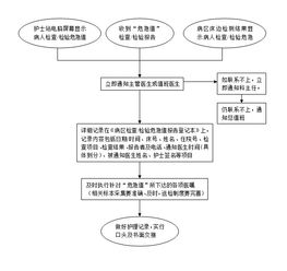 护理流程