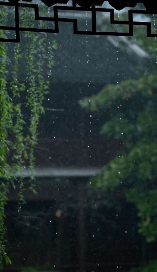 夏日临窗听雨,闲读诗书,感受大自然的天籁之音