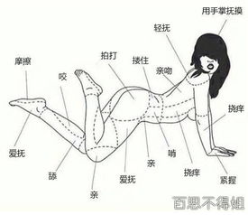 女性正确触碰教学 学着点吧 