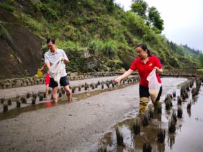 俯身听民声 下沉察民情 真心解民忧