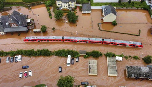 2023年特大洪水预言,诺查丹玛斯预言2023年的“5大灾难”