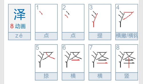 泽字的笔顺怎么写 