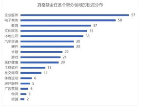 谁帮我讲解一下什么是投资？投资项目失败了我的资金怎么办？