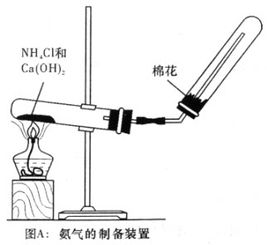 下列根据实验现象所得出的结论中.一定正确的是 A.无色溶液中滴加紫色石蕊试液后变蓝.结论 溶液显碱性B.无色溶液焰色反应呈黄色.结论 试液是钠盐溶液C.无色溶液加入 