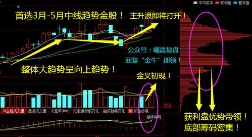 股票现在为什么不提倡价值投资，分享企业的成果，原来中央2套不是推广的吗，有没有给广大的散户指条明路